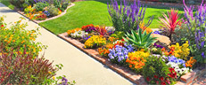 Newtown PA Landscaping - Ground Up Landscaping